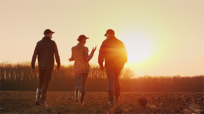 image of farmers having a discussion as they walk across a field in the sunset