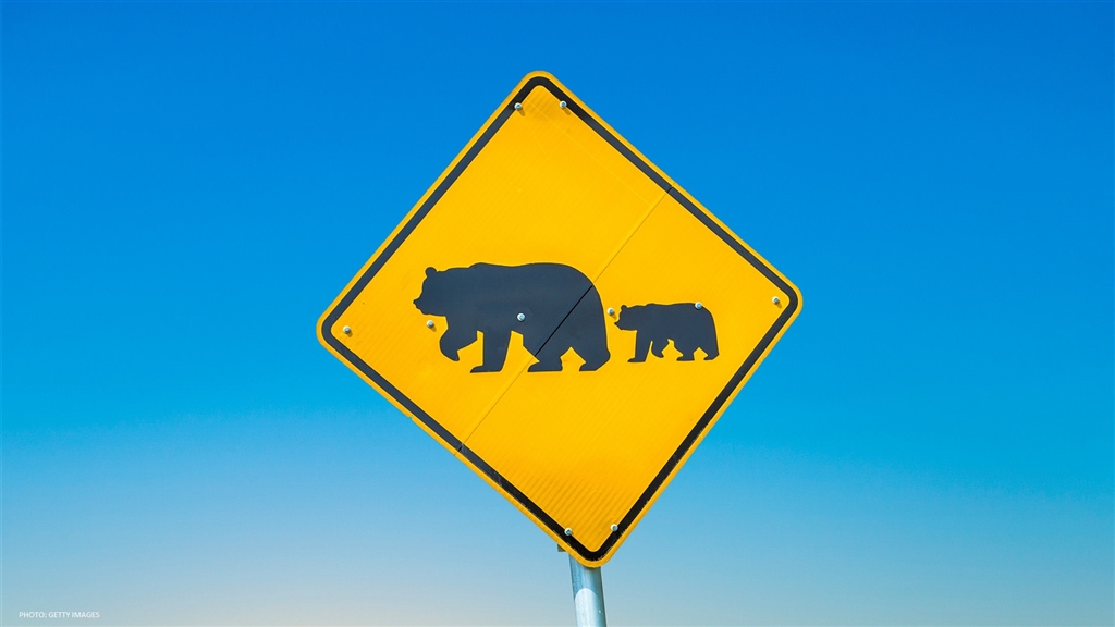 Bear crossing road sign