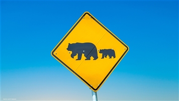 3 Reasons Why the Bear Market is an Excellent Opportunity for Entrepreneurship