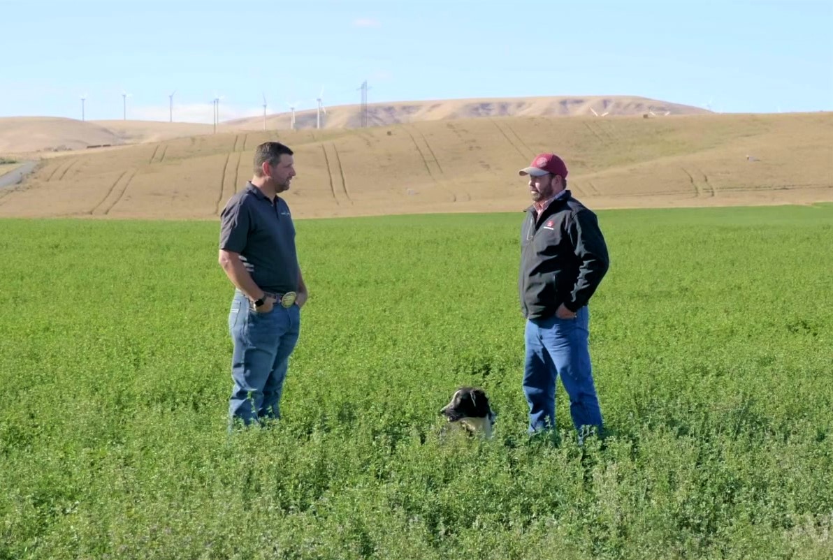 Walla Walla farmer with business lender standing in field with dog
