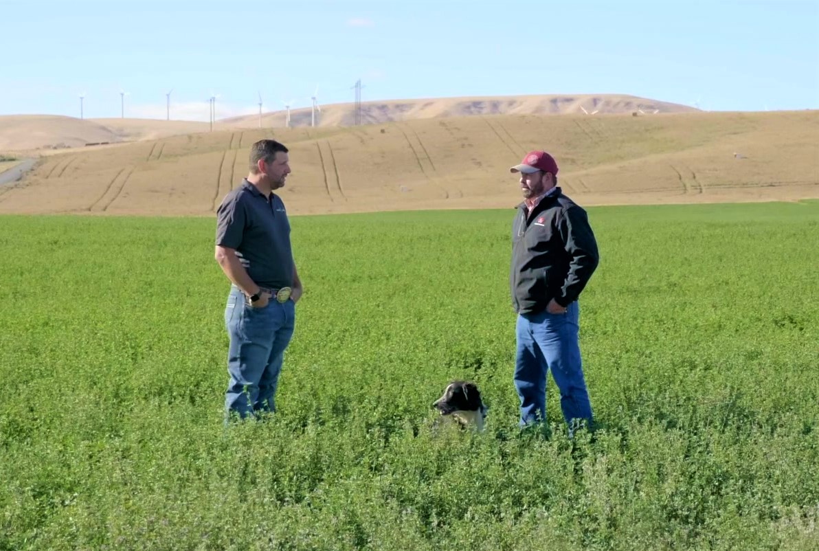 Business Advisor meeting with farmer client in field