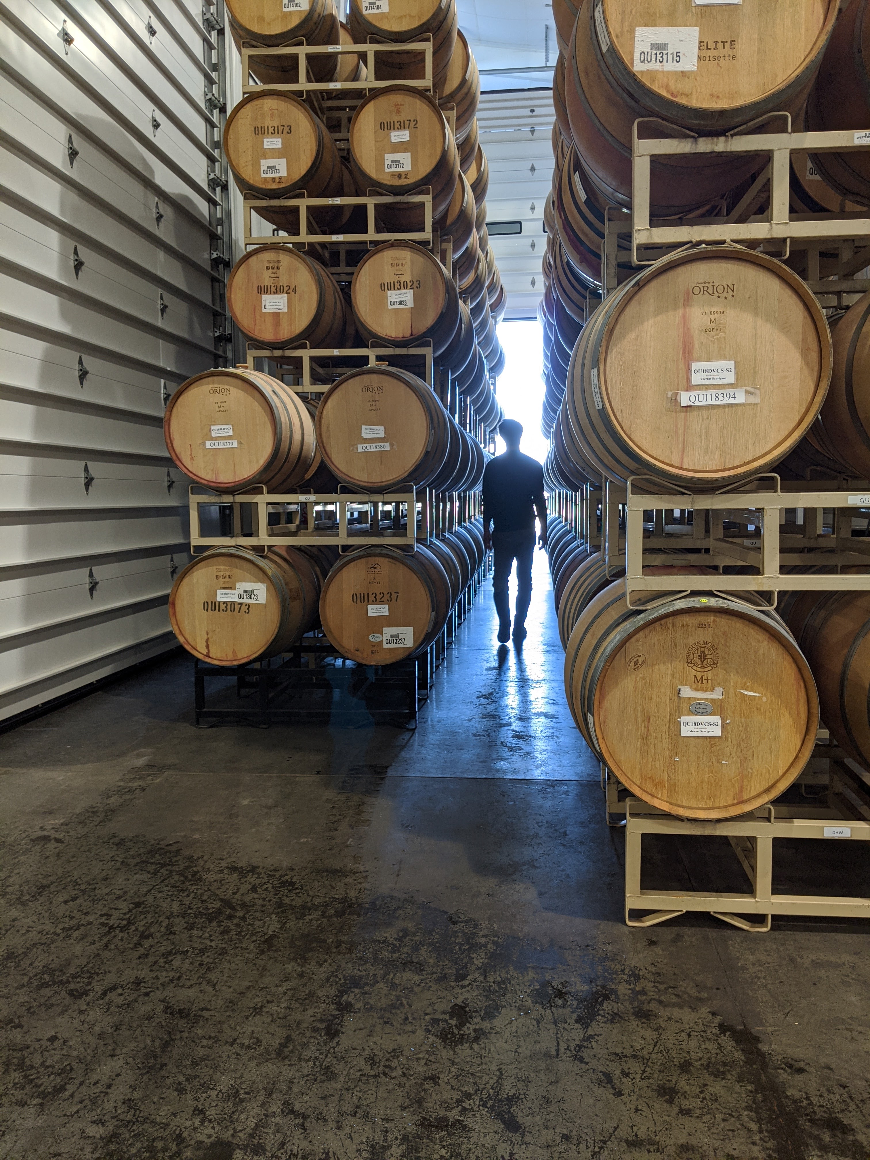 Jake in wine cellar