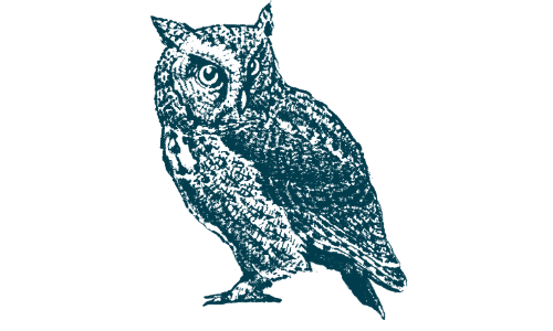 Blue Owl