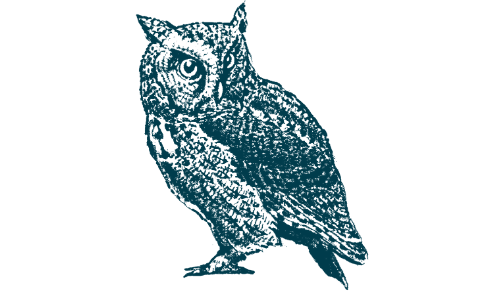 blue owl