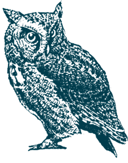 Blue Owl