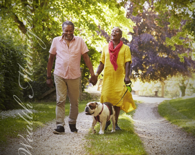 Older black couple happily walking dog