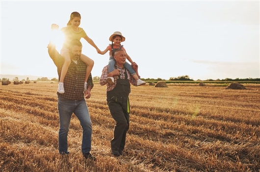 Grandfather and father farmers with two girls on their shoulders out in field at sunset