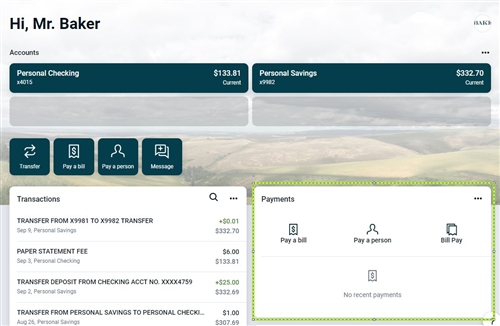 Payment view