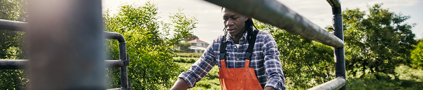 Farmer and business owner tending to his crops