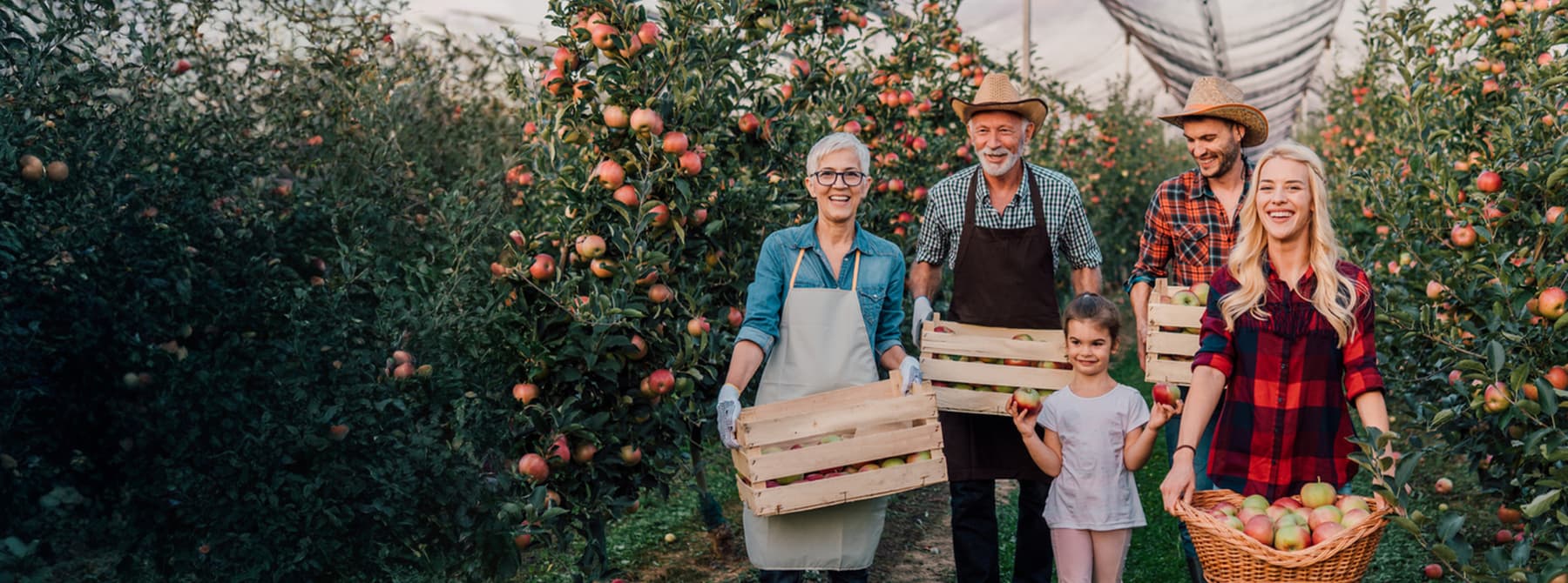three generations of apple farmers in their orchard